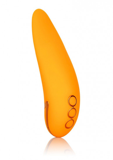 Hollywood Hottie - Calexotics