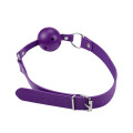 Fetish Store Ball Gag Paars
