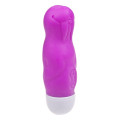 Cheeky Walrus mini vibrator Paars