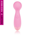 Bobbi Eden Double-D Massage Vibrator Roze
