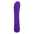 Adam & Eve Eve's Orgasmic-G Vibrator Paars