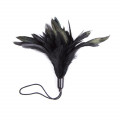 Fetish Store Tickle Me Feather Zwart