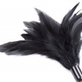 Fetish Store Tickle Me Feather Zwart
